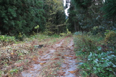 1005Gtg103