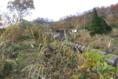 1029Osj124 1029Osj124