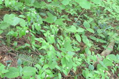 0913Tkr127 0913Tkr127