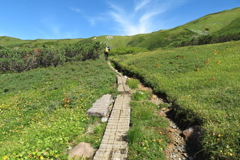 0910Okd122 0910Okd122