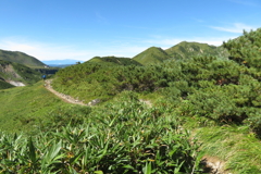 0933Okd130 0933Okd130