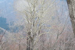 1148Ohz148 1148Ohz148