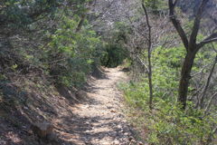 0937Gtg196
