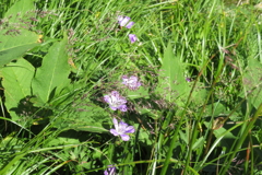 1040Okd143 1040Okd143