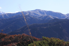 1010Gnt140 1010Gnt140