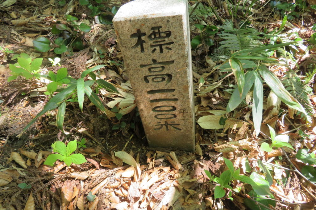 1215Okr154