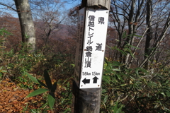 1005Gkt130