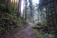 0935Gnt113 0935Gnt113