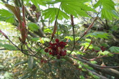 1047Uks131 1047Uks131