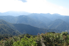 1146Okr146 1146Okr146