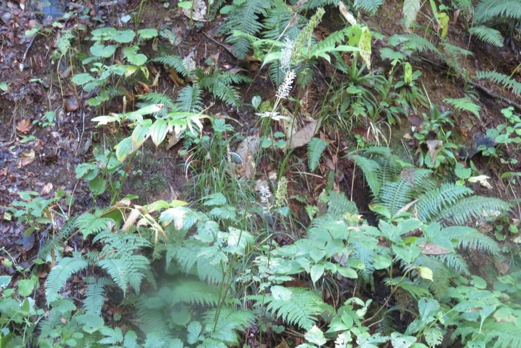Otz201002_100534
