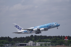 ANA A380