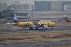 IMGP6131