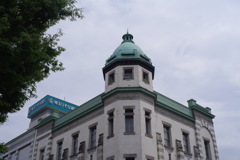 IMGP0230