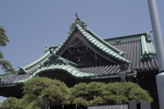 IMGP0541