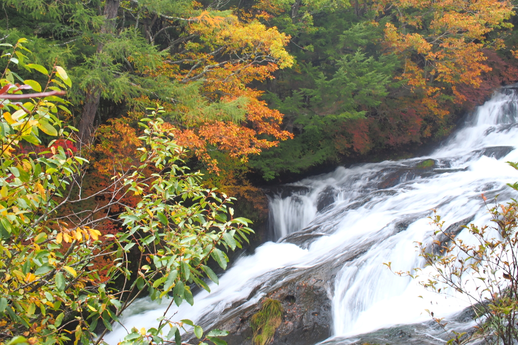 竜頭の滝