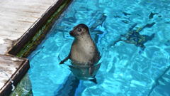 水族館（その３）