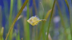 水族館（その１）