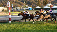 福島競馬_006