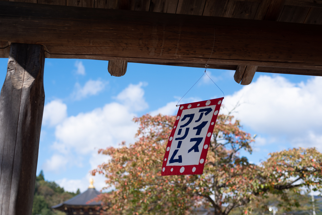 夏の残滓