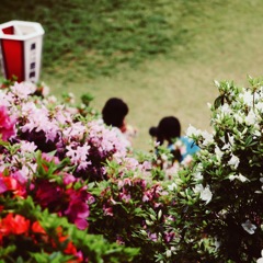 斐川公園