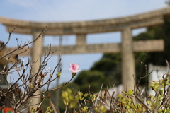 遅れて、こんにちは