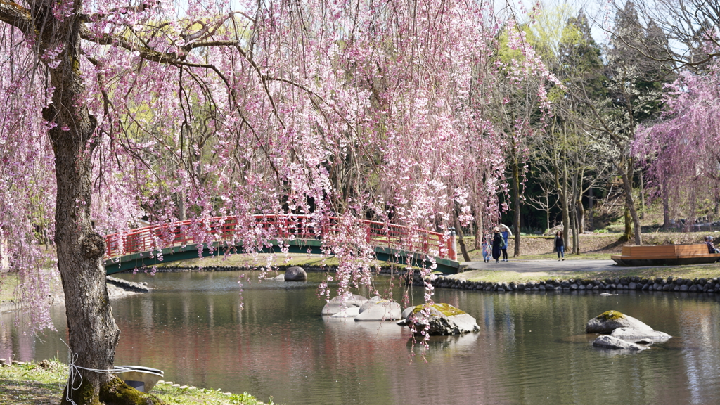 中央公園