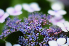 FB0E2D81-EC72-4D21-852B-E9CB176D70D5