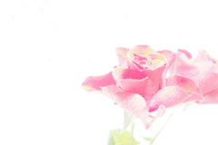 84462261-FE01-43F1-A2EA-AC4670239964