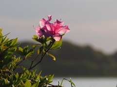 3A2D1C67-053C-4640-805B-1E9FF54FD4DC
