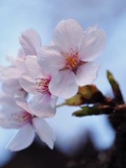 0405FA5A-607E-427A-BD9C-5BFF90727A9C