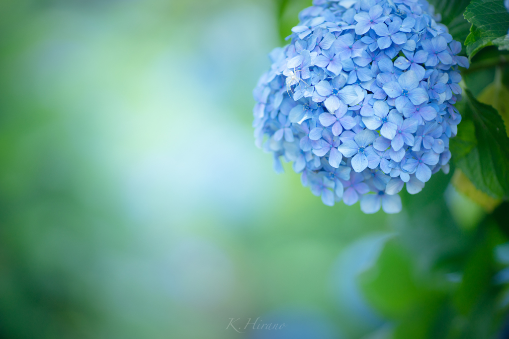 June