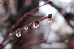 雪解け
