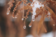 雪解け
