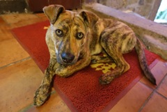 2AE05E6A-E573-48BE-96C0-B9B306C0DA15