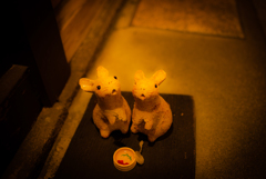 先斗町にて。うさぎ発見