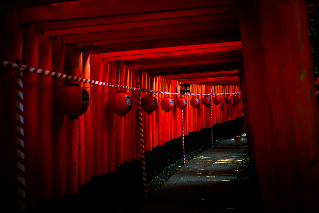 伏見稲荷にて。