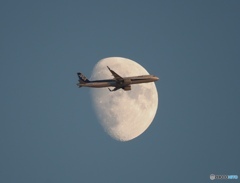 月と飛行機