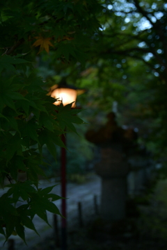 日光廟大猷院1