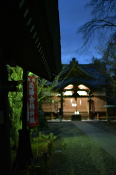 小諸城址懐古園1