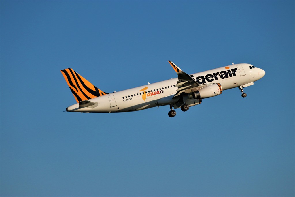 tiger air2