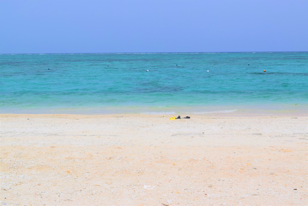 海