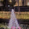 川沿いのクリスマス