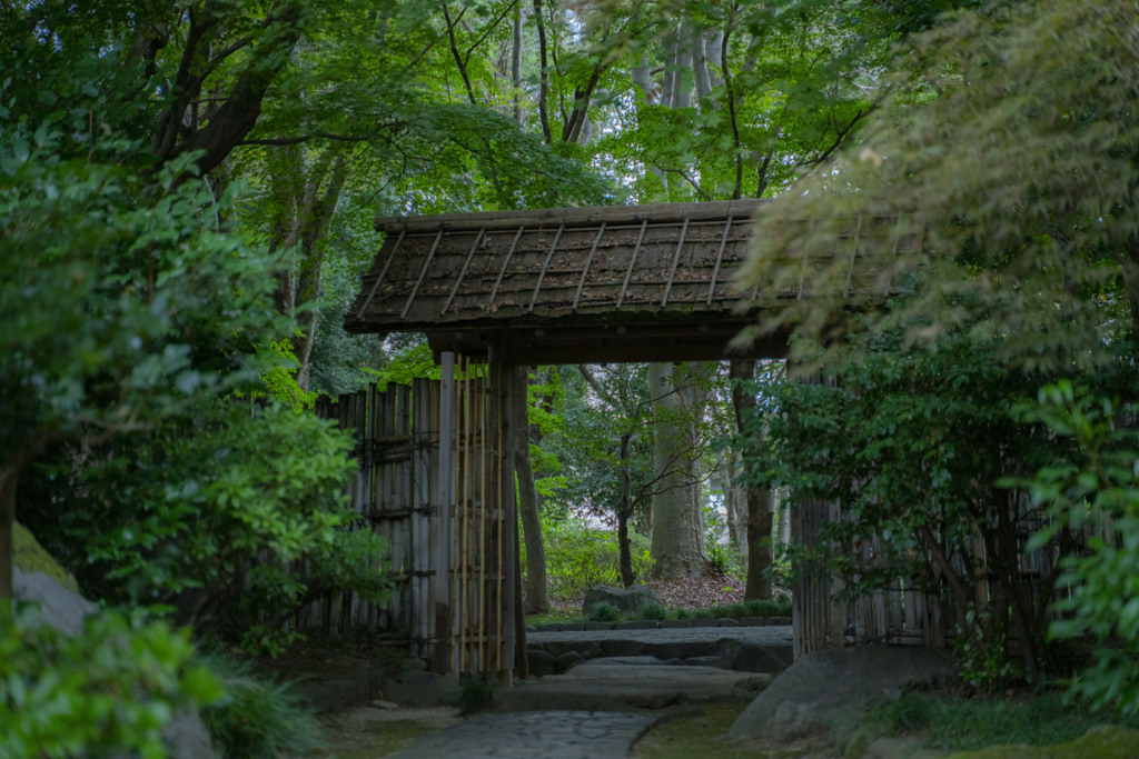 緑の門