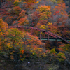 紅葉と橋