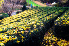 グラデーション未満