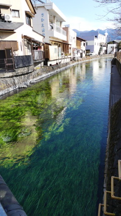 綺麗な川はいいよね