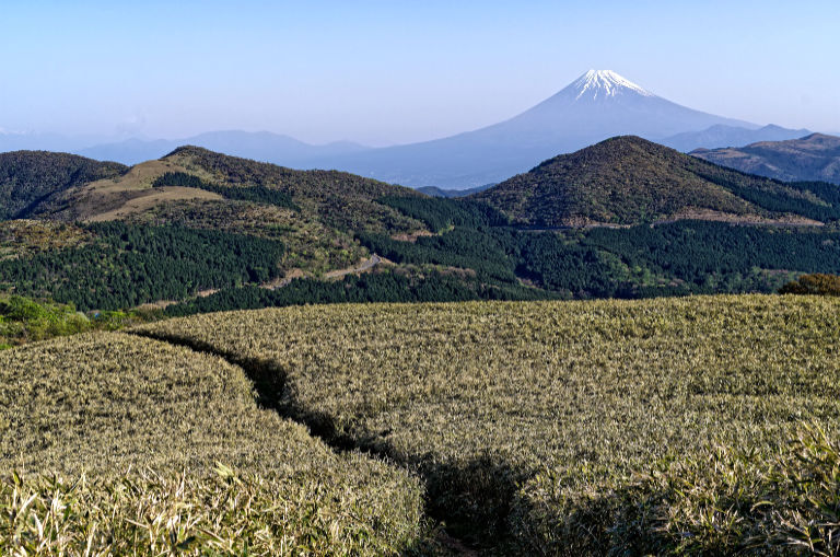 ザ・ロード１（細くて見えない）