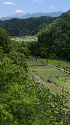 雲がもう少し少なければ