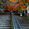 他では見られない紅葉には違いない